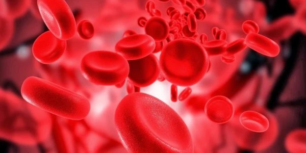 علاج فقر الدم