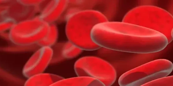 علاج فقر الدم ( الأنيميا ) وأنواعها التي يتعرض لها الإنسان 3 علاج فقر الدم