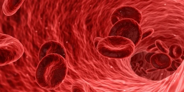 علاج فقر الدم ( الأنيميا ) وأنواعها التي يتعرض لها الإنسان 5 علاج فقر الدم