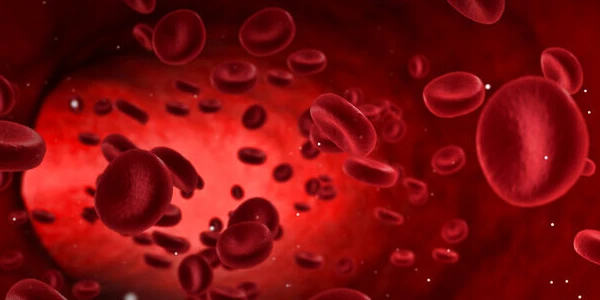 علاج فقر الدم ( الأنيميا ) وأنواعها التي يتعرض لها الإنسان 2 علاج فقر الدم