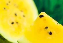 معلومات عن البطيخ الأصفر وفوائده الرهيبة