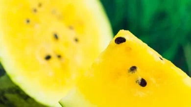 معلومات عن البطيخ الأصفر وفوائده الرهيبة