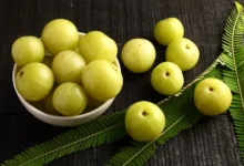 ما هي فوائد البمبر ؟ وأهم 3 فوائد 27 ما هي فوائد البمبر تعرف على أهم 3 فوائد