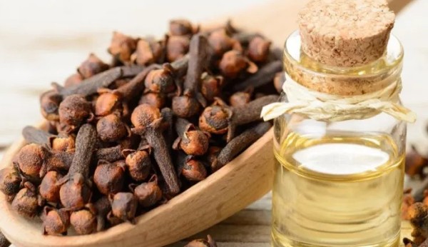 فوائد القرنفل او المسمار او العويدي 2 فوائد القرنفل .. القيم الغذائية التي يحتوي عليها القرنفل