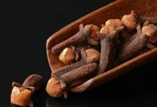 فوائد القرنفل او المسمار او العويدي 27 ما هي فوائد وأضرار القرنفل الصحية