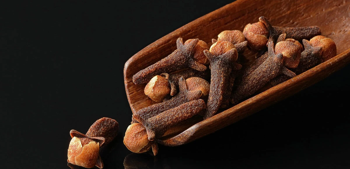 فوائد القرنفل او المسمار او العويدي 1 ما هي فوائد وأضرار القرنفل الصحية