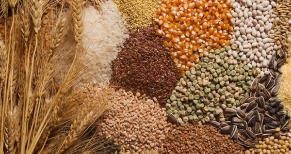 أفضل نظام غذائي لزيادة الوزن في وقت قصير 5 أفضل نظام غذائي لزيادة الوزن في وقت قصير