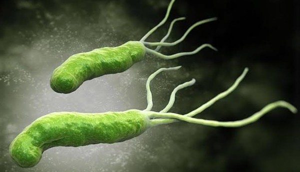 أعراض جرثومة المعدة وأسبابها 3 أعراض جرثومة المعدة وأسبابها