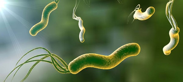 أعراض جرثومة المعدة وأسبابها 2 أعراض جرثومة المعدة وأسبابها