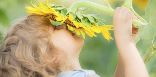 علاج فقدان حاسة الشم والتذوق في أسرع وقت 2 علاج فقدان حاسة الشم والتذوق