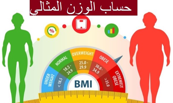 كيفية حساب كتلة الوزن المثالي بطرق سهلة ؟ 3 كيفية حساب كتلة الوزن المثالي بطرق سهلة وبسيطة