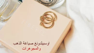 اوسبيلدونغ صياغة الذهب والمجوهرات في ألمانيا 24 اوسبيلدونغ صياغة الذهب والمجوهرات