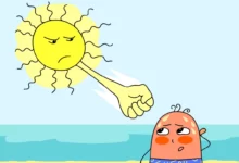 علاج أعراض ضربة الشمس بـ 6 أعشاب طبيعية 27 ضربة الشمس