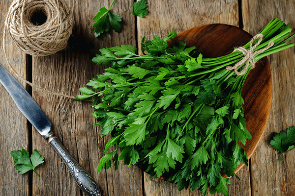 أمراض الأذن وعلاجها بـ 15 نوع من الأعشاب الطبيعية 3 أمراض الأذن