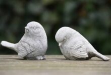 كيف تتعامل مع شخص يتجاهلك بـ 10 خطوات 25 كيف تتعامل مع شخص يتجاهلك