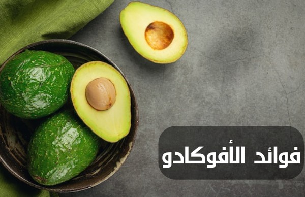 اهمم فوائد الأفوكادو للصحة العامة 2 فوائد الأفوكادو