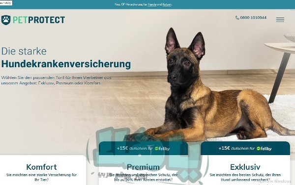 تأمين الكلاب في ألمانيا