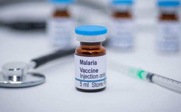 المعيشة في البرازيل كل ما تحتاجه للعيش في البرازيل 3 المعيشة في البرازيل