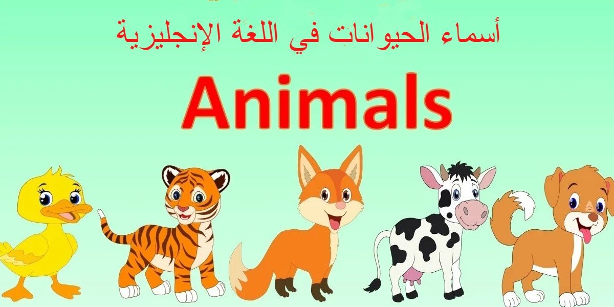 أسماء الحيوانات في اللغة الإنجليزية