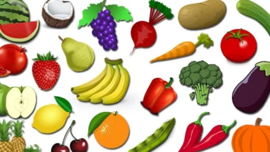 أسماء الفواكه والخضروات في اللغة الفرنسية 29 الفواكه والخضروات في اللغة الفرنسية