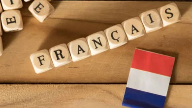 أهم الجمل والعبارات باللغة الفرنسية