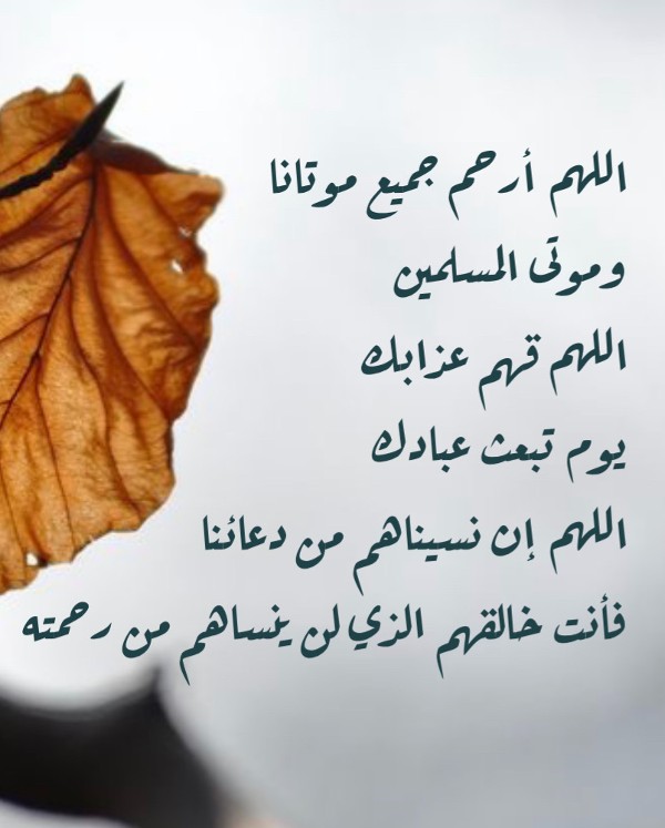 دعاء للأموات يوم الجمعة أدعية نصية للميت في يوم الجمعة 5 دعاء للأموات يوم الجمعة