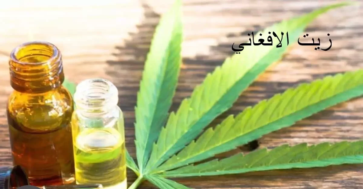 زيت الافغاني وفوائده المذهلة للشعر والبشرة 1 زيت الافغاني