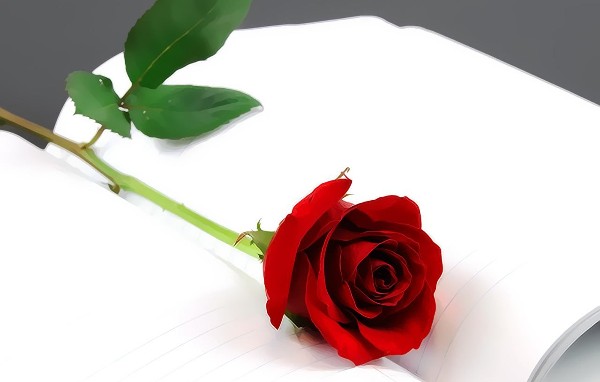 10 من أفضل محل ورد في الإمارات 3 محل ورد في الإمارات