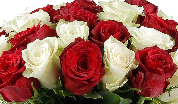 10 من أفضل محل ورد في الإمارات 5 محل ورد في الإمارات