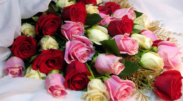 10 من أفضل محل ورد في الإمارات 4 محل ورد في الإمارات