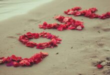 كيف تعبر عن حبك لفتاة برسالة 24 كيف تعبر عن حبك لفتاة برسالة