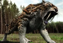 أشهر حيوانات منقرضة في العالم 26 حيوانات منقرضة