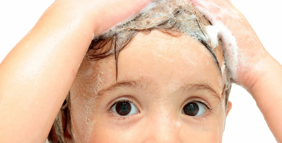 شامبو كلاينز لعلاج القمل نهائيا 1 شامبو كلاينز لعلاج القمل