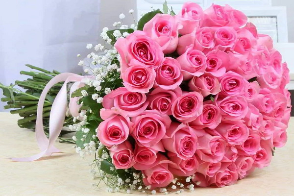 صور ورد وخلفيات ورد طبيعي wallpapers-hd - موقع ياهلا