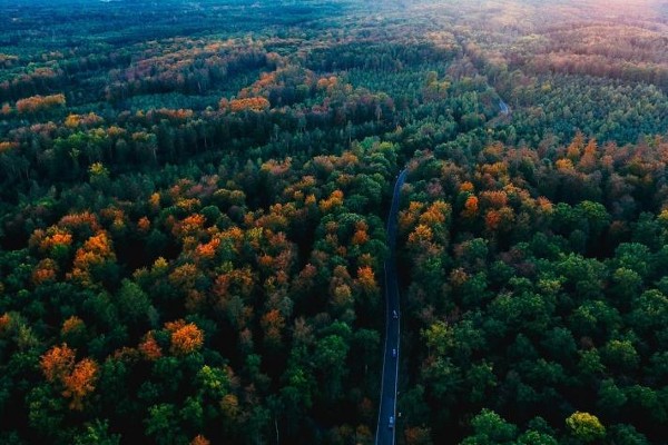 الغابة السوداء في ألمانيا 3 الغابة السوداء في ألمانيا