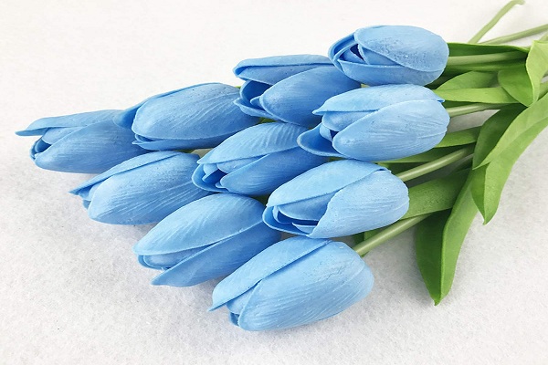 صور ورد وخلفيات ورد طبيعي wallpapers-hd 16 71nCkFhTvHL