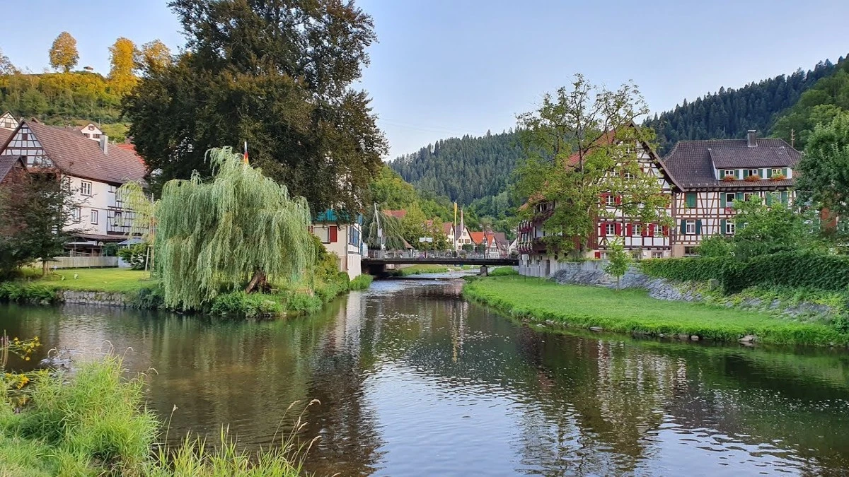 الغابة السوداء في ألمانيا 1 الغابة السوداء في ألمانيا