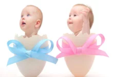 الجدول الصيني للحمل لمعرفة نوع الجنين 18 الجدول الصيني للحمل لمعرفة جنس الجنين