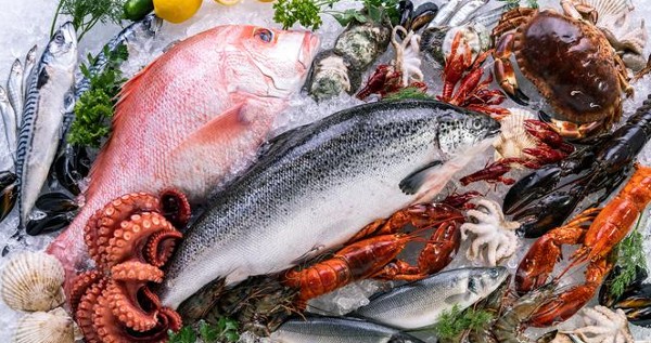 تفسير رؤية السمك في المنام 4 تفسير رؤية السمك في المنام