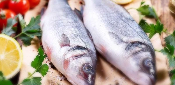 تفسير رؤية السمك في المنام 2 تفسير رؤية السمك في المنام