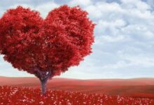 أجمل خلفيات صور حلوة 95 خلفيات صور حلوة