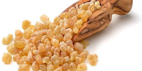 أهم فوائد لبان الذكر للجسم 3 أهم فوائد لبان الذكر