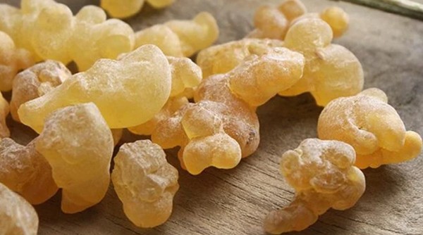 أهم فوائد لبان الذكر للجسم 4 أهم فوائد لبان الذكر