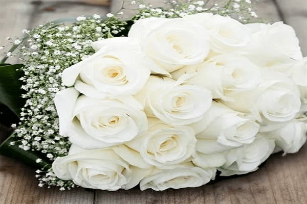 صور ورد وخلفيات ورد طبيعي wallpapers-hd 22 ورود 4