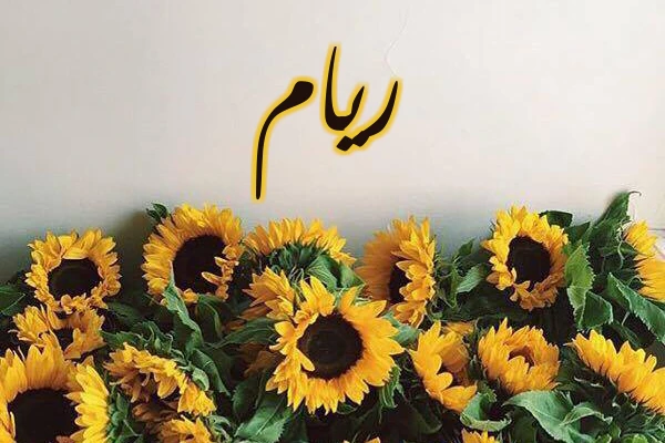 معنى اسم ريام وصفاته - موقع ياهلا