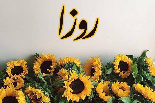 معنى اسم روزا وصفاته 3 اسم روزا