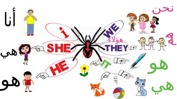 تعلم اللغة الإنجليزيه الفواكه والخضار والمشروبات 6 تعلم اللغة الإنجليزيه