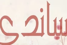 معنى اسم ساندي وصفاته 27 اسم ساندي