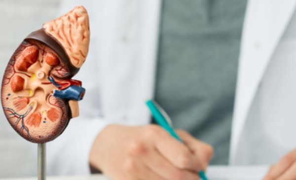 أفضل دكتور مسالك بولية عربي في برلين 4 دكتور مسالك بولية عربي في برلين