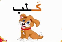 أسماء حيوان بحرف الكاف 27 أسماء حيوان بحرف الكاف